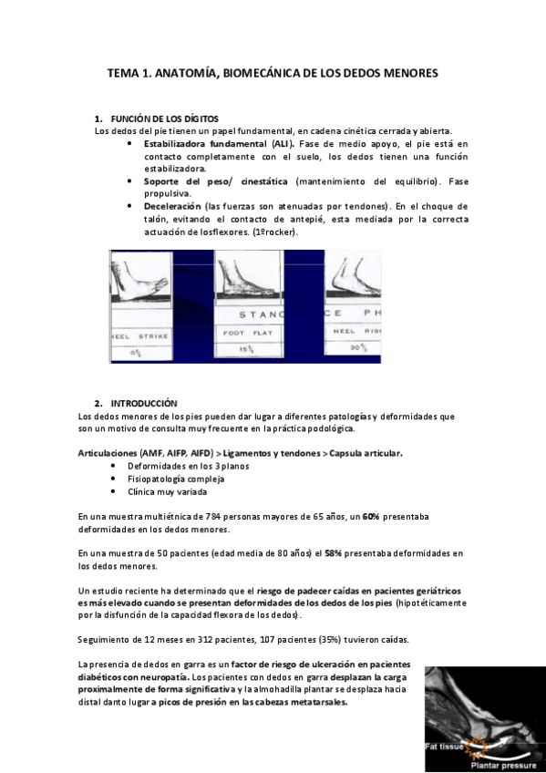 Miniatura del documento TEMA-1-CORDOBA-NUEVO.pdf