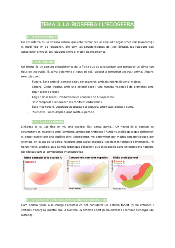 Miniatura del documento tema-3.pdf