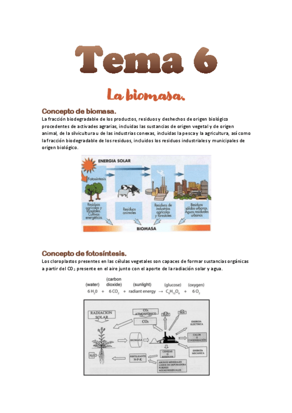 Miniatura del documento Tema-6.pdf