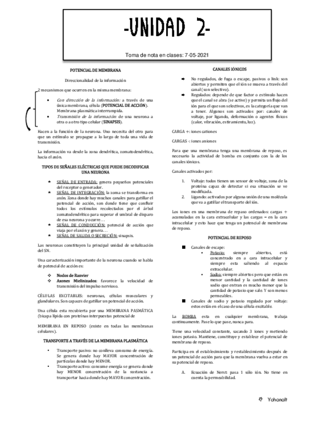 Miniatura del documento Teoricos-neuro-completo-B.pdf