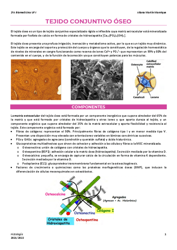 Miniatura del documento 8-Tejido-oseo.pdf