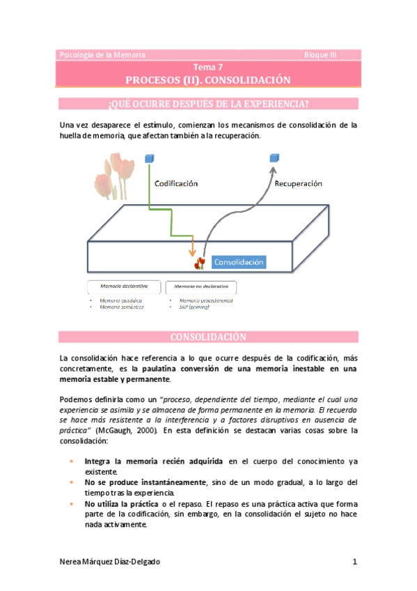 Miniatura del documento Tema-7-Procesos-II.pdf