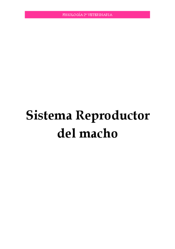 Miniatura del documento Reproductor-I.pdf