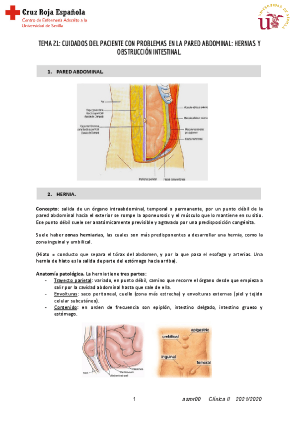 Miniatura del documento T21-Clinica-II.pdf