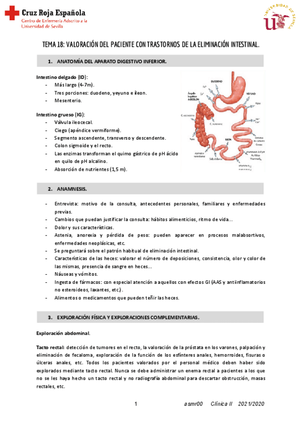 Miniatura del documento T18-Clinica-II.pdf