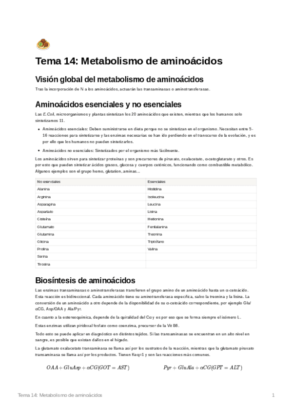 Miniatura del documento Tema14Metabolismodeaminocidos.pdf