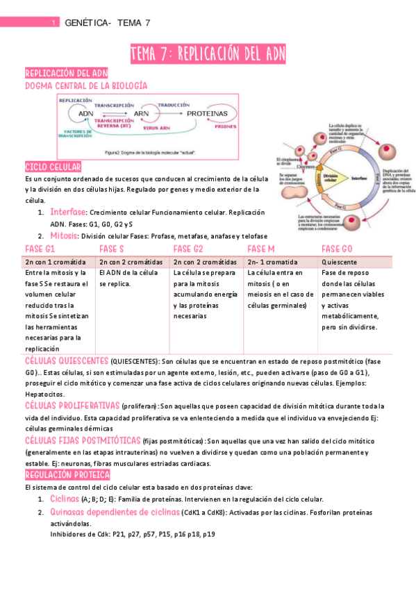 Miniatura del documento Tema-7.pdf