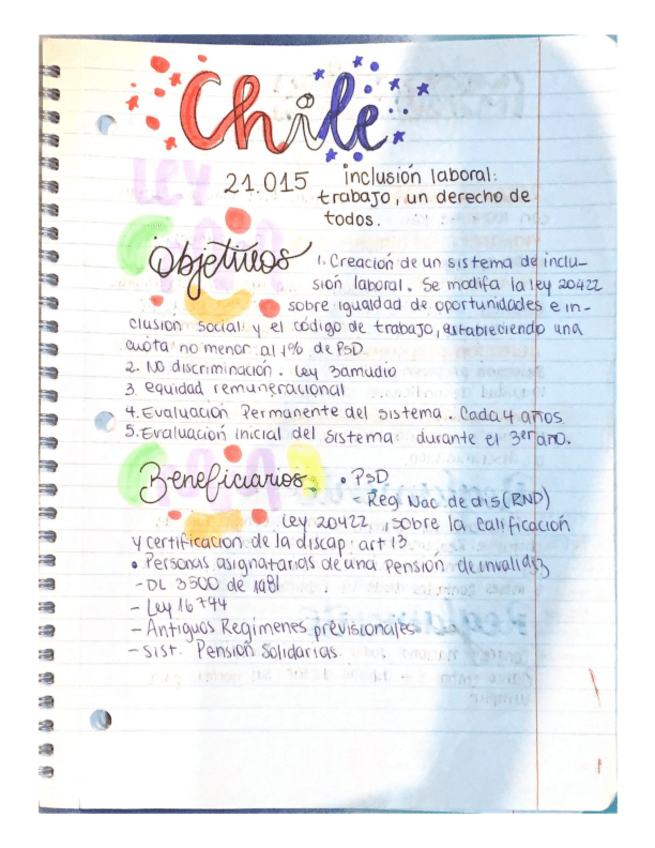 Miniatura del documento Ley-21.pdf