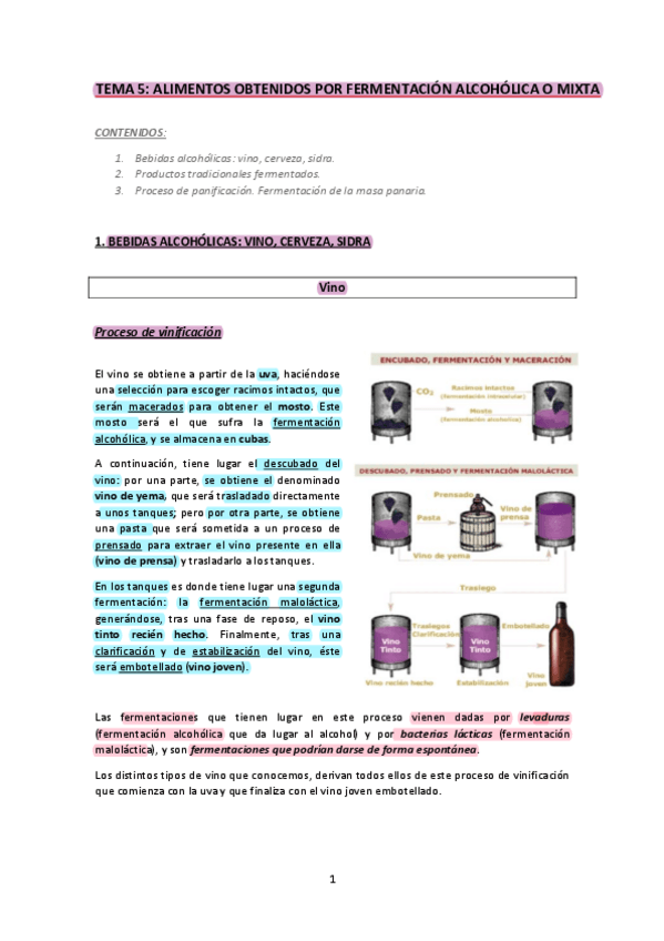 Miniatura del documento TEMA-5-ALIMENTOS.pdf