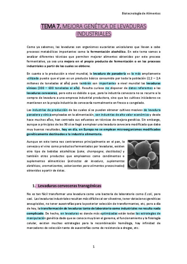 Miniatura del documento TEMA-7-ALIMENTOS.pdf