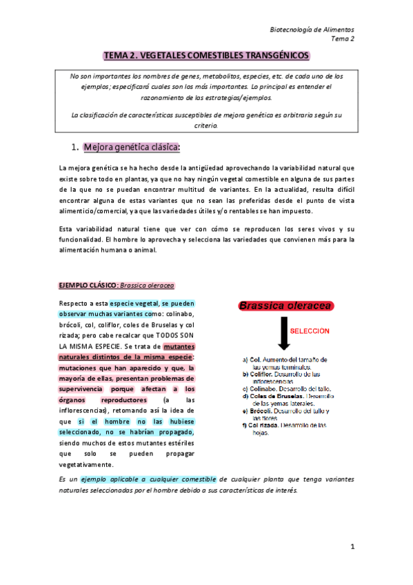 Miniatura del documento TEMA-2-ALIMENTOS.pdf