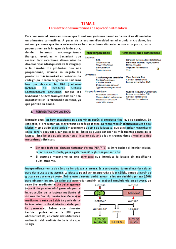 Miniatura del documento TEMA-3-ALIMENTOS.pdf