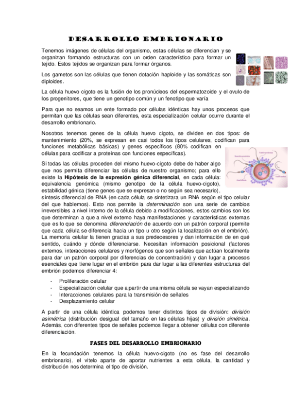 Miniatura del documento HISTOLOGIA-COMPLETO.pdf
