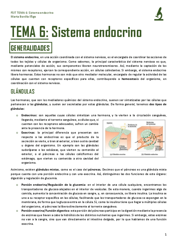 Miniatura del documento FSIT-TEMA-6-SISTEMA-ENDOCRINO.pdf