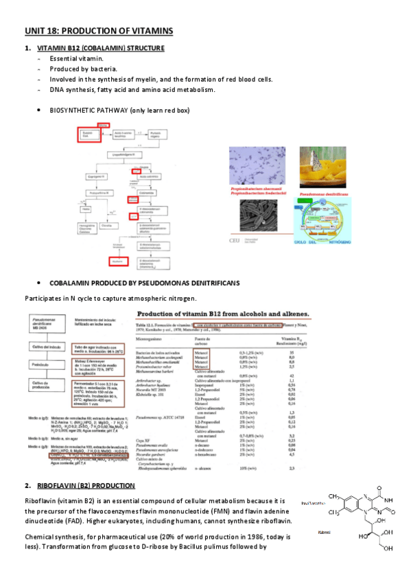 Miniatura del documento UNIT-18.pdf