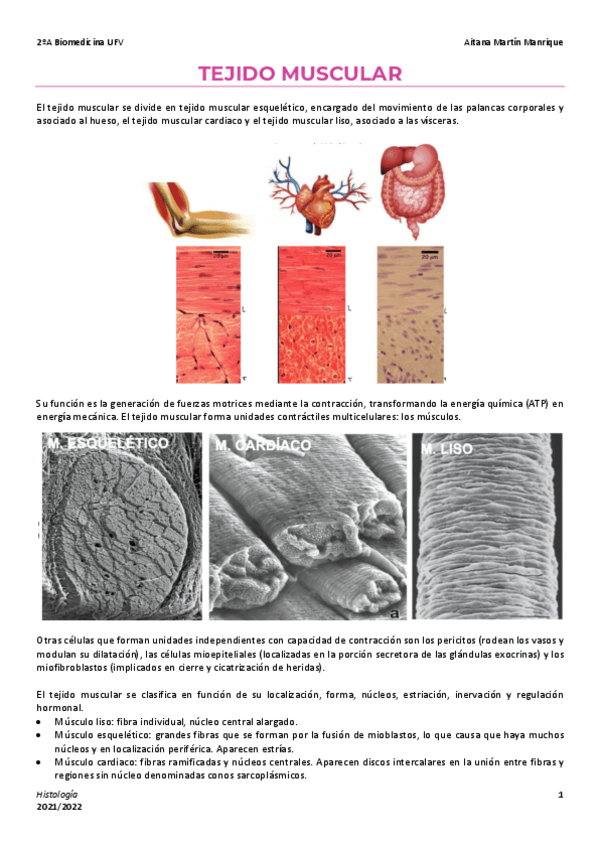 Miniatura del documento 10-Tejido-muscular.pdf