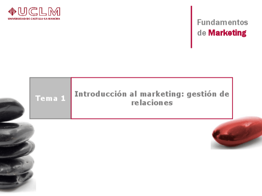 Miniatura del documento FM-Tema-01-Introduccion-al-marketing-gestion-de-relaciones.pdf