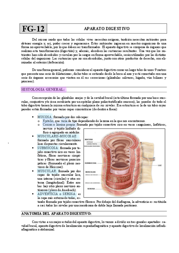 Miniatura del documento FG12-APARATO-DIGESTIVOa1d59277d620546ff29de2df5507954d-1.pdf