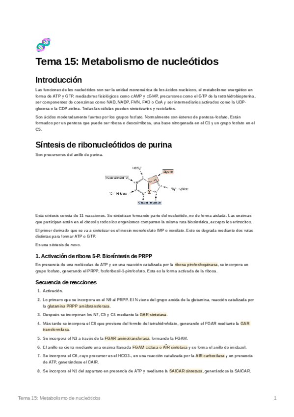 Miniatura del documento Tema15Metabolismodenucletidos.pdf
