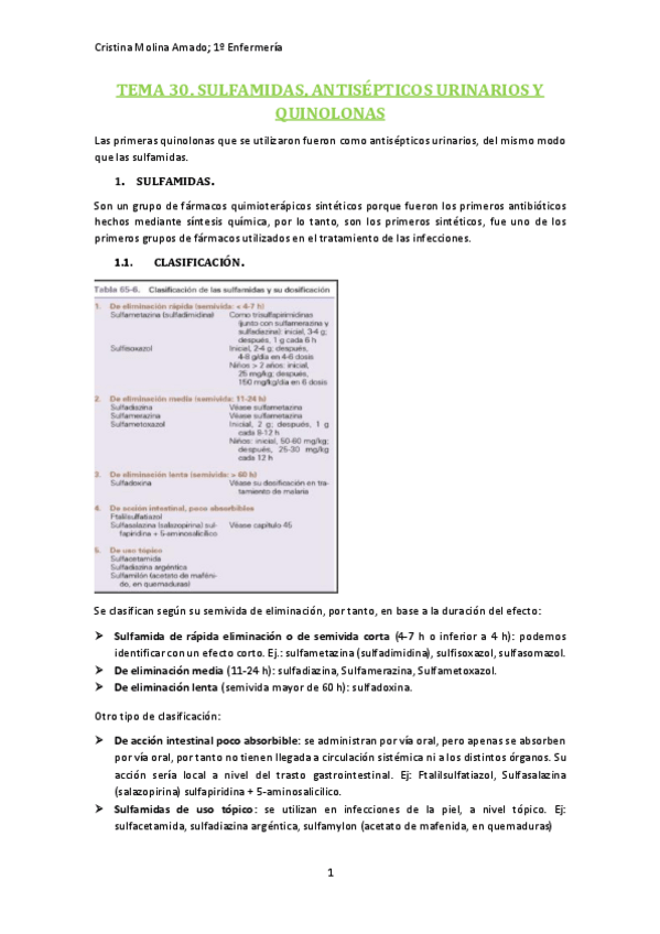 Miniatura del documento TEMA-30-SULFAMIDAS-ANTISEPTICOS-URINARIOS-Y-QUINILONAS.pdf