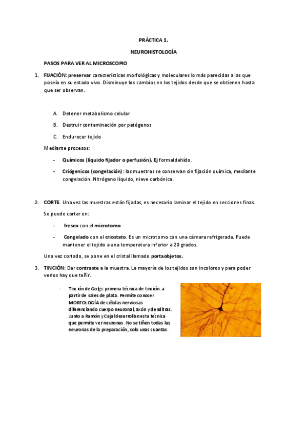 Miniatura del documento practicas-psicobio-COMPLETO.pdf