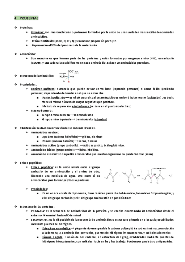 Miniatura del documento TEMA-4-Proteinas.pdf
