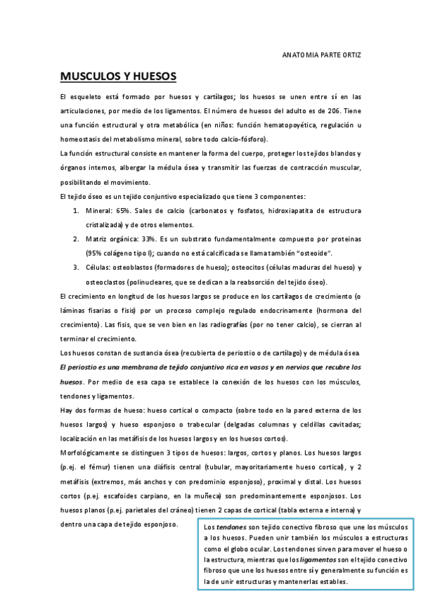 Miniatura del documento ANATOMIA-PARTE-ORTIZ.pdf