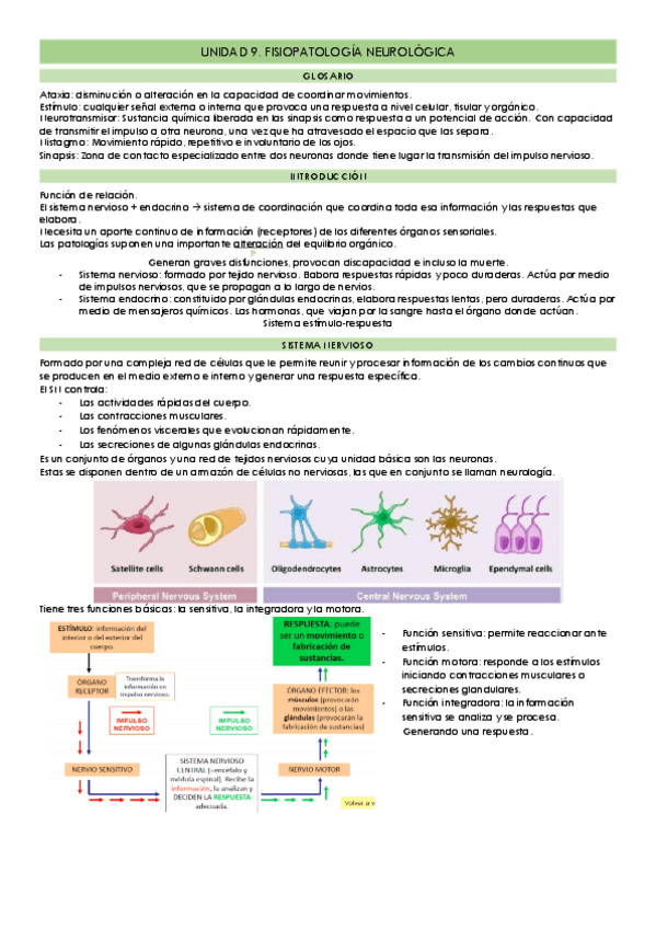 Miniatura del documento UNIDAD-9.pdf