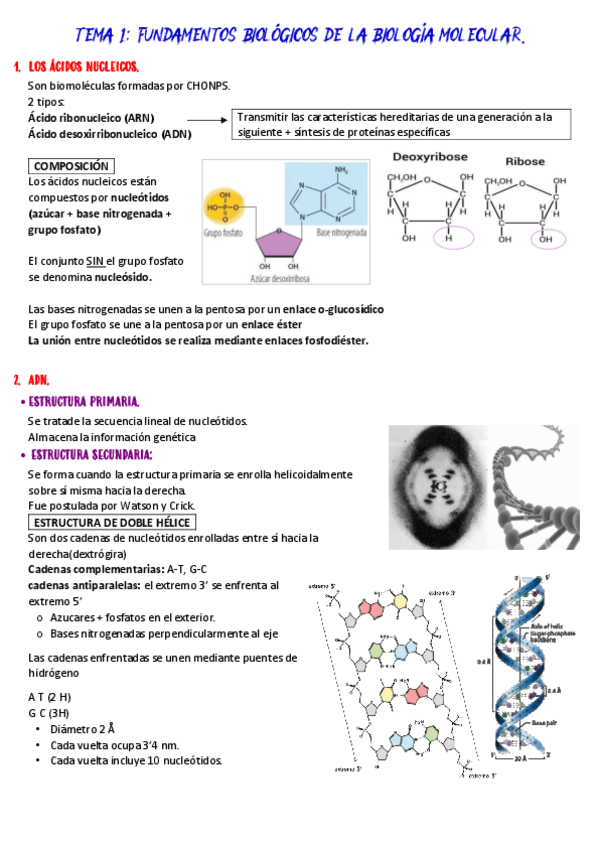 Miniatura del documento TEMA-1-BMC.pdf