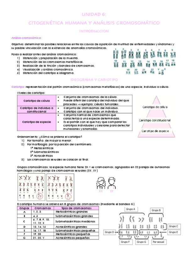 Miniatura del documento UNIDAD-6.pdf