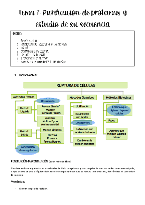 Miniatura del documento Tema-7-bioquimica.pdf