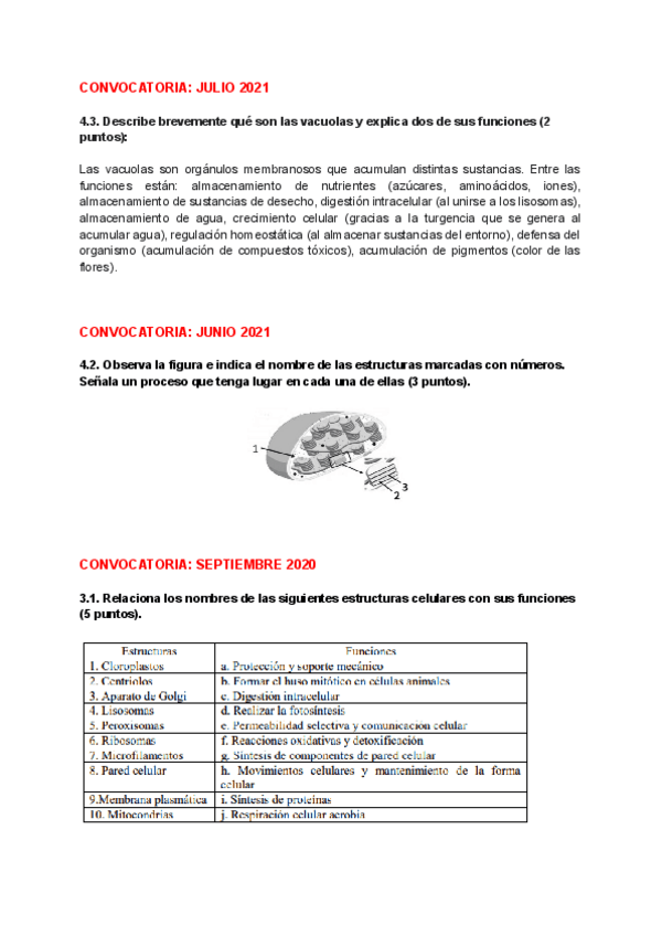 Miniatura del documento PAUs-BIO-T8-LA-CELULA-EUCARIOTA.pdf
