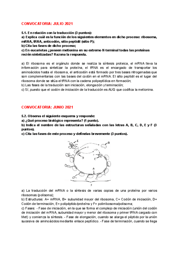 Miniatura del documento PAUs-BIO-T17-LA-EXPRESION-DEL-MENSAJE-GENETICO.pdf