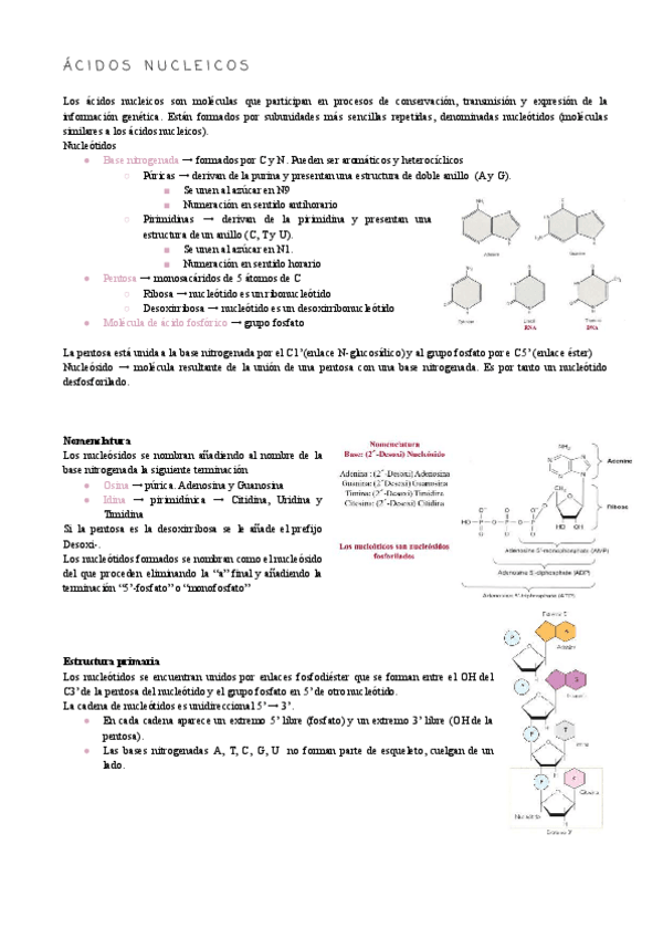 Miniatura del documento Biologia-molecular-compressed-1.pdf