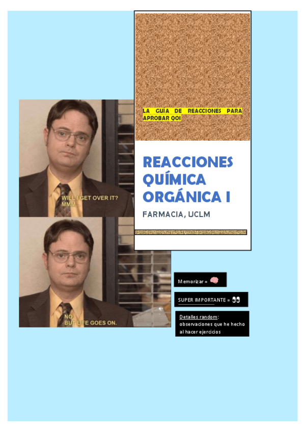 Miniatura del documento QO1-GUIA-REACCIONES-PARA-APROBAR.pdf