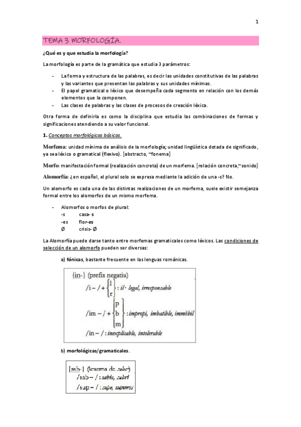 Miniatura del documento apunts-tema-3.pdf