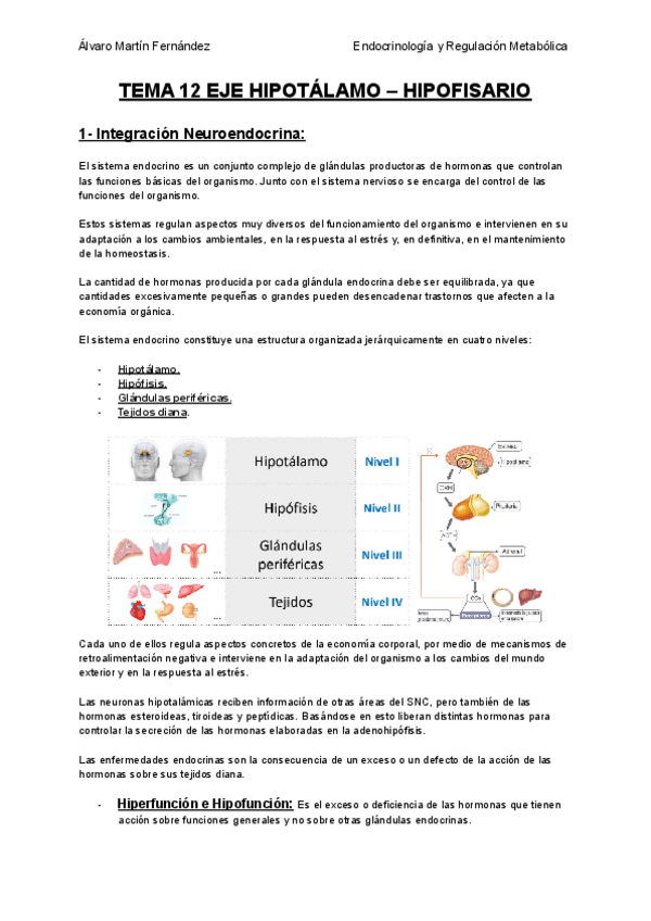 Miniatura del documento TEMA-12-EJE-HIPOTALAMO-HIPOFISARIO.pdf