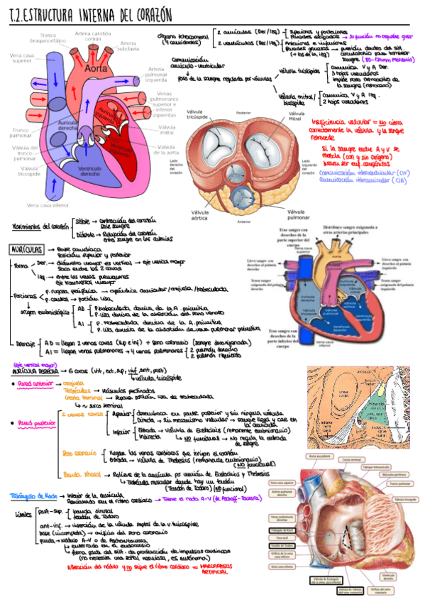 Miniatura del documento 2.pdf