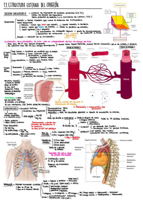 Miniatura del documento 1.pdf