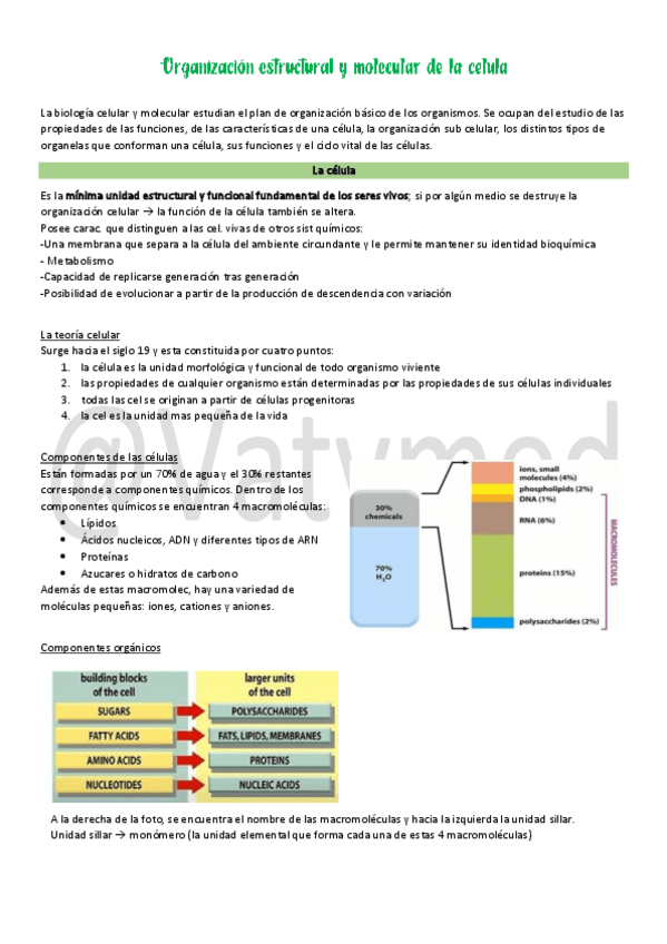 Miniatura del documento 1.pdf