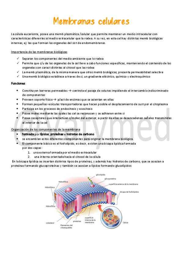 Miniatura del documento 2.pdf