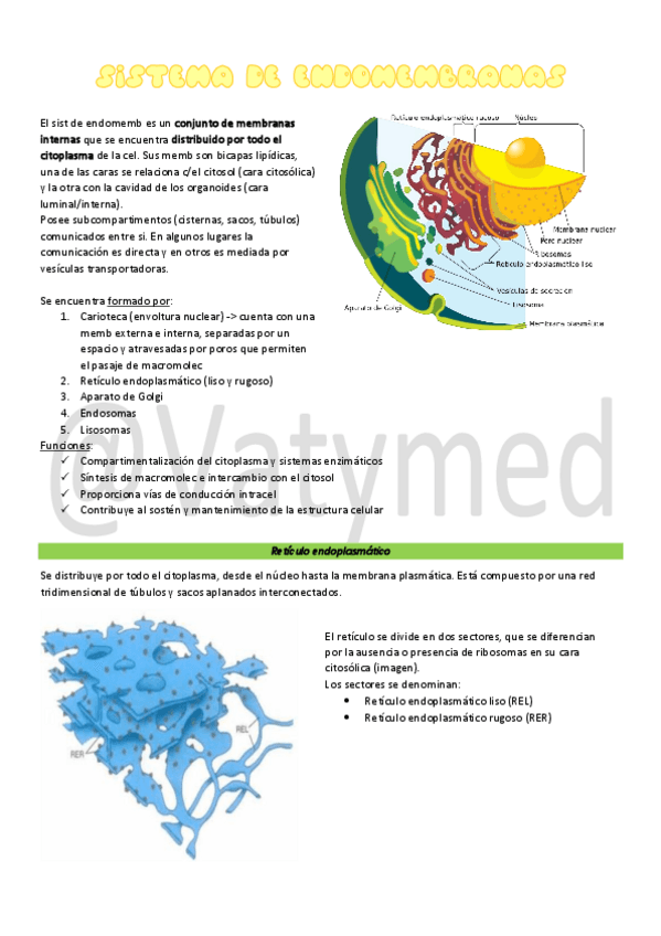 Miniatura del documento 3.pdf