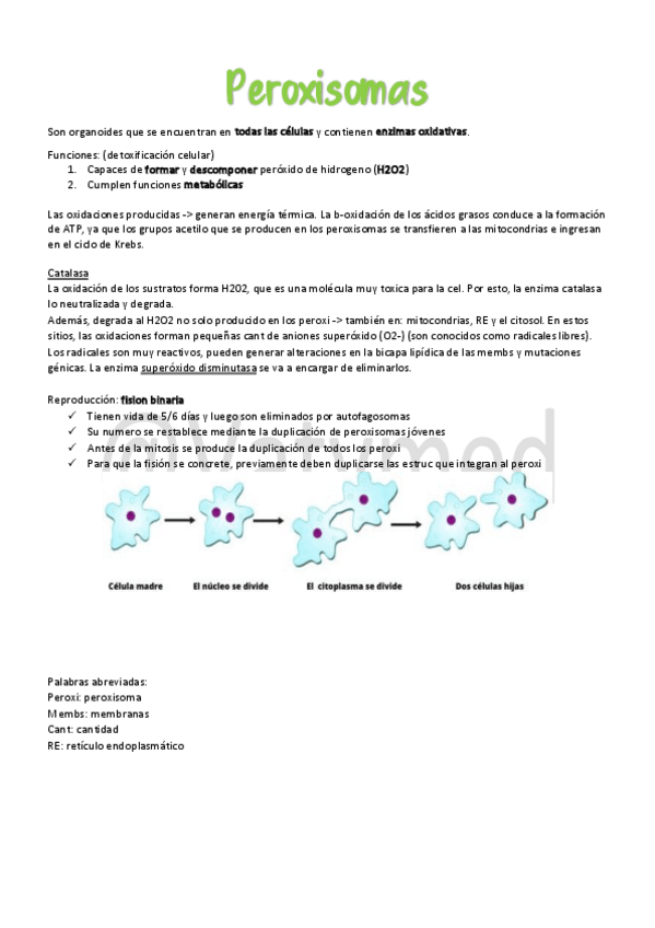 Miniatura del documento 4Peroxisomas-citosol-y-citoesqueleto.pdf