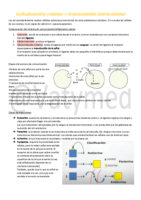 Miniatura del documento 7Senalizacion-celular-y-transmision-intracelular.pdf