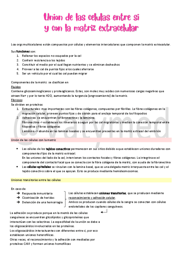 Miniatura del documento 5Union-de-las-cel-entre-si-y-con-la-matriz.pdf