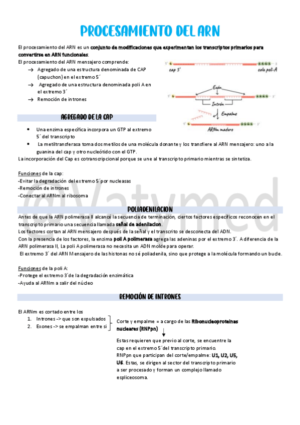Miniatura del documento 11.pdf