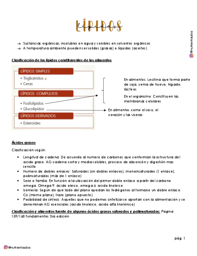 Miniatura del documento Lipidos.pdf