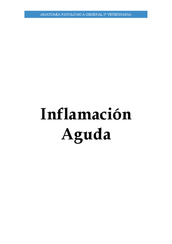 Miniatura del documento Inflamacion-II.pdf