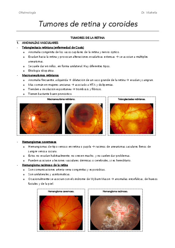 Miniatura del documento M23.pdf