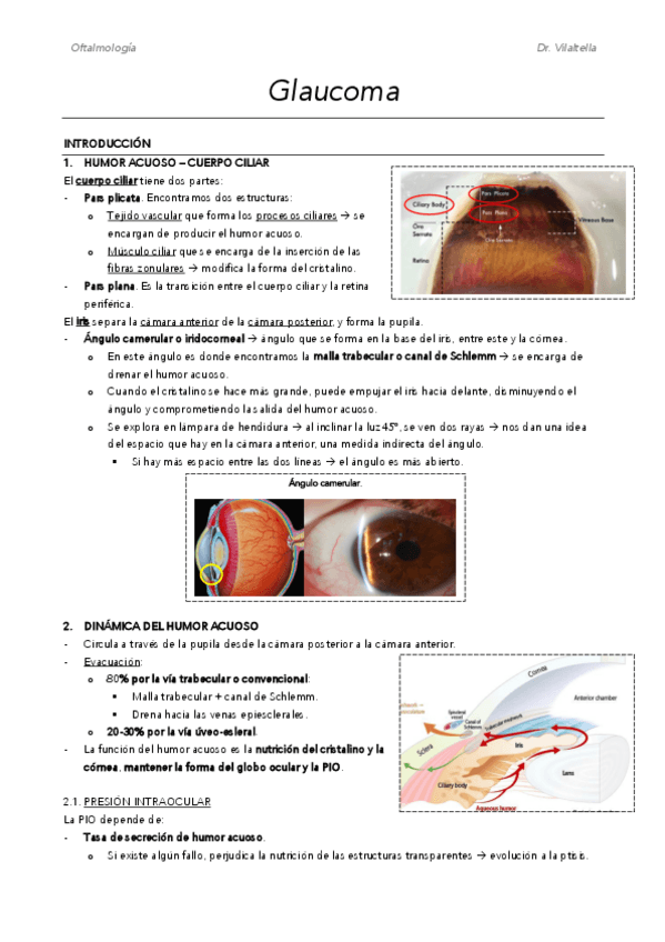 Miniatura del documento M18.pdf